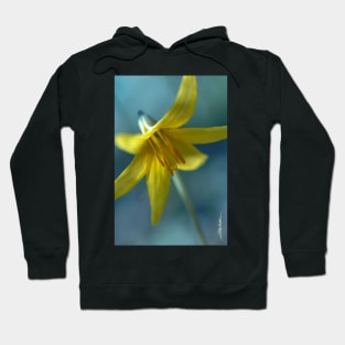 Vermont Trout Lily Hoodie